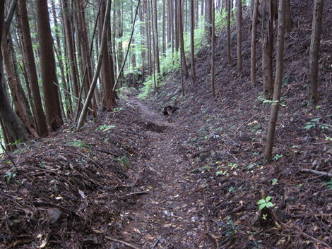 20191031hike (343)